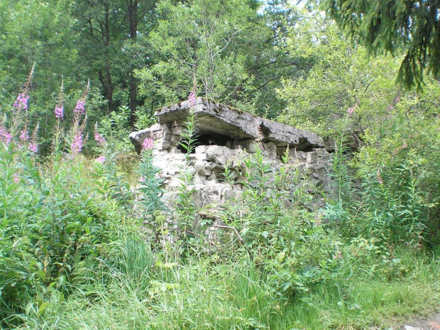 Ruiny schroniska na polanie Wyrobki pod Lubaniem #góry #beskidy #gorce #lubań #PrzełęczSnozka