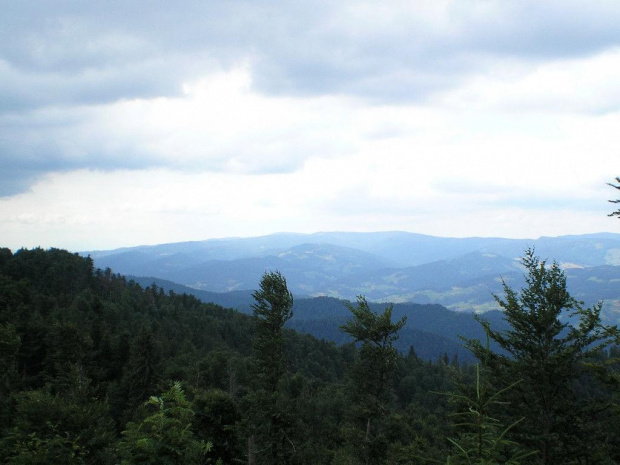 Kiczora i Turbacz spod Lubania #góry #beskidy #gorce #lubań #PrzełęczSnozka