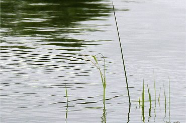 nad wodą ... #jezioro #NadWodą #woda