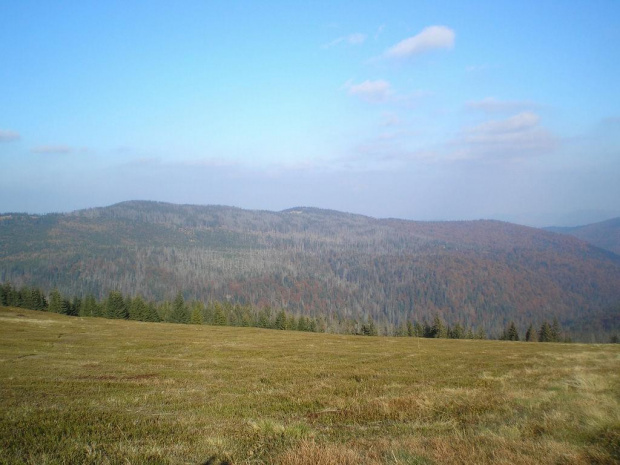 Kudłoń i Gorc Troszacki z polany Jaworzyna Kamienicka #góry #beskidy #gorce #JaworzynaKamienicka #bieniowe #średniak