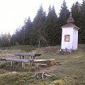 Bulandowa Kapliczka na polanie Jaworzyna Kamienicka #góry #beskidy #gorce #JaworzynaKamienicka #bieniowe #średniak