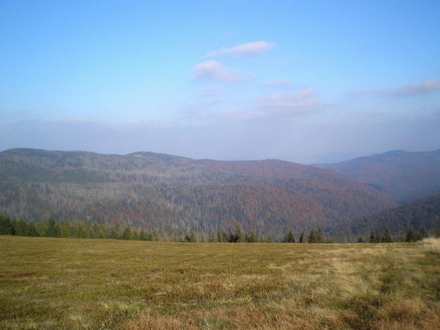 Gorc Troszacki z polany Jaworzyna Kamienicka #góry #beskidy #gorce #JaworzynaKamienicka #bieniowe #średniak