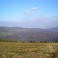 Gorc Troszacki z polany Jaworzyna Kamienicka #góry #beskidy #gorce #JaworzynaKamienicka #bieniowe #średniak