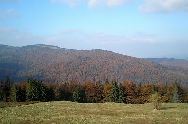 Gorc Troszacki z polany Bieniowe #góry #beskidy #gorce #JaworzynaKamienicka #bieniowe #średniak