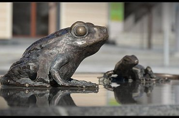 Dla Readyr - Żabka z fontanny w Jeseniku :) #jesenik #fontanna #żabka
