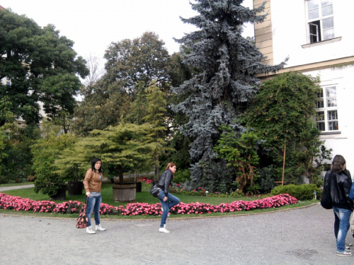 Wycieczka do Krakowa z Liceum dla dorosłych 2011 10 06 Ogród Botaniczny Park Doświadczeń (1) #Kraków