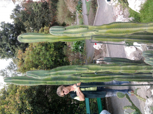 Wycieczka do Krakowa z Liceum dla dorosłych 2011 10 06 Ogród Botaniczny Park Doświadczeń (1) #Kraków