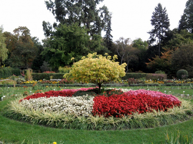 Wycieczka do Krakowa z Liceum dla dorosłych 2011 10 06 Ogród Botaniczny Park Doświadczeń (1) #Kraków