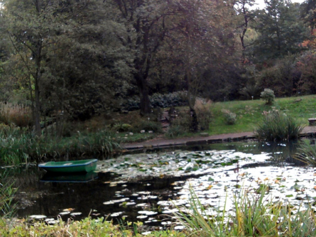 Wycieczka do Krakowa z Liceum dla dorosłych 2011 10 06 Ogród Botaniczny Park Doświadczeń (1) #Kraków