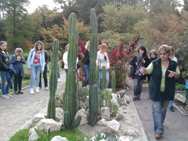 Wycieczka do Krakowa z Liceum dla dorosłych 2011 10 06 Ogród Botaniczny Park Doświadczeń (1) #Kraków