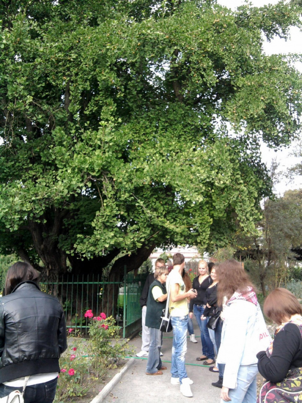 Wycieczka do Krakowa z Liceum dla dorosłych 2011 10 06 Ogród Botaniczny Park Doświadczeń (1) #Kraków