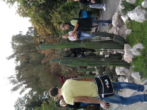 Wycieczka do Krakowa z Liceum dla dorosłych 2011 10 06 Ogród Botaniczny Park Doświadczeń (1) #Kraków