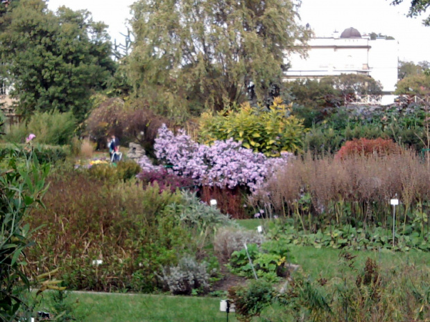 Wycieczka do Krakowa z Liceum dla dorosłych 2011 10 06 Ogród Botaniczny Park Doświadczeń (1) #Kraków