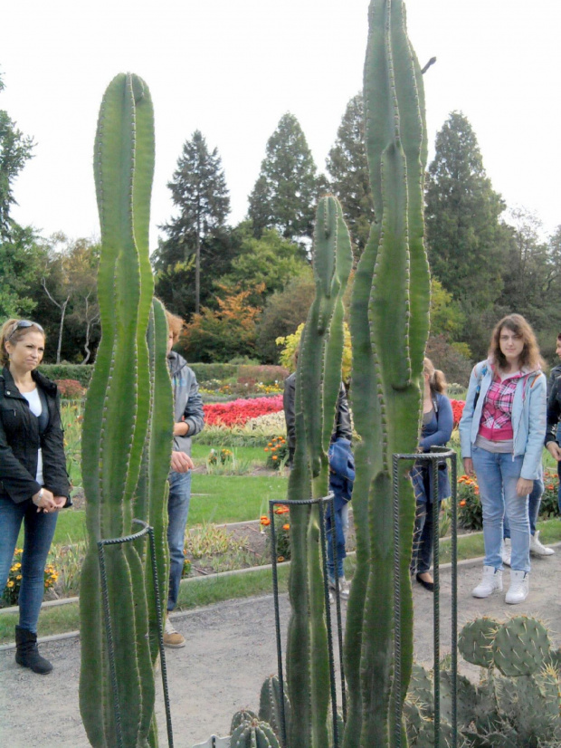 Wycieczka do Krakowa z Liceum dla dorosłych 2011 10 06 Ogród Botaniczny Park Doświadczeń (1) #Kraków