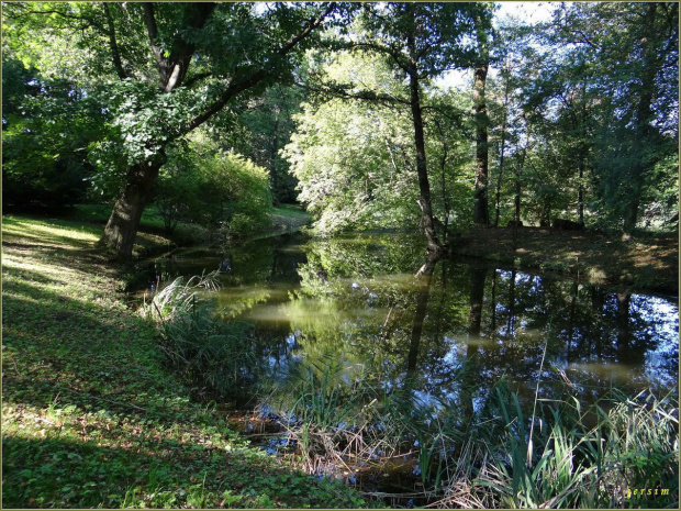 park przypałacowy w Krasiczynie