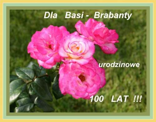 Kochana Basiu, wszystkiego co najlepsze życzę Ci w dniu Twojego święta ! Zdrówka przede wszystkim, dużo miłości, zawsze dobrego humoru , wiernych przyjaciół , no i mnóstwo udanych kadrów;
100 lat !