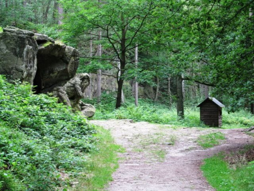 Nový les u írče koło Kuksu (Czechy) park rzeźb Betlém