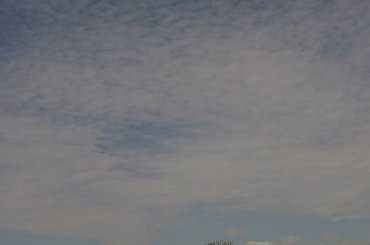 w tym całym zamieszaniu z komentarzami, ocenami, konkursem coś na uspokojenie #łąki #niebo #zwierzęta #krowy