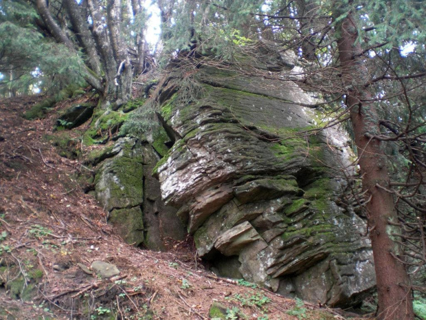 Wychodnia skalna pod Kudłoniem #góry #beskidy #gorce #kudłoń