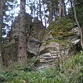 Wychodnia skalna poniżej polany Kudłoń #góry #beskidy #gorce #kudłoń