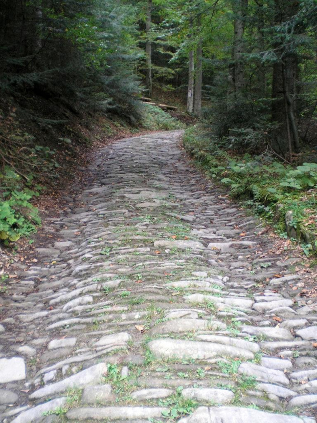 Brukowana droga w Gorcach (z Koniny na Przełęcz Borek) #góry #beskidy #gorce #kudłoń