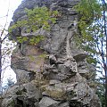 Ostaniec skalny Kudłoński Baca #góry #beskidy #gorce #kudłoń