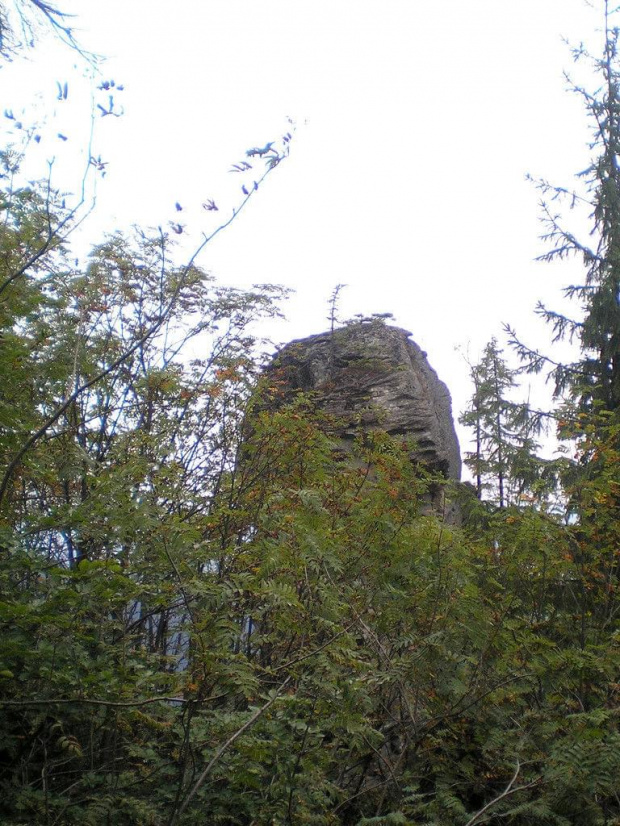 Ostaniec skalny Kudłoński Baca #góry #beskidy #gorce #kudłoń