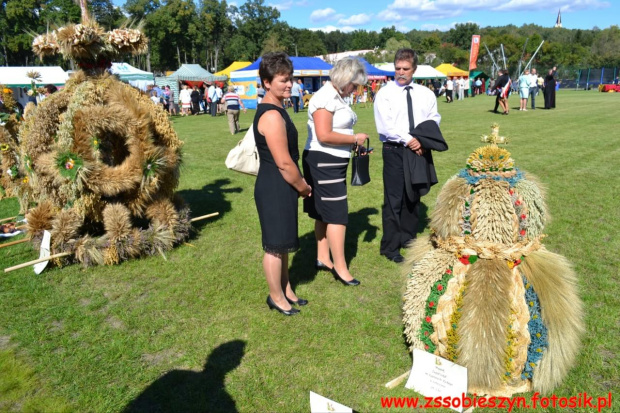 I jeszcze kilka zdjęć z tegorocznych dożynek #Sobieszyn #Brzozowa