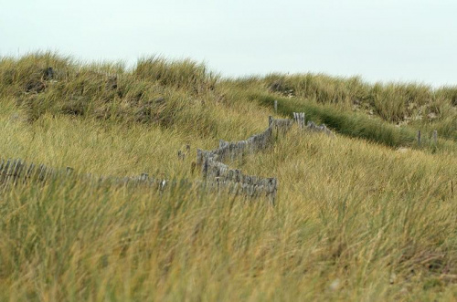 Pointe de la Torche