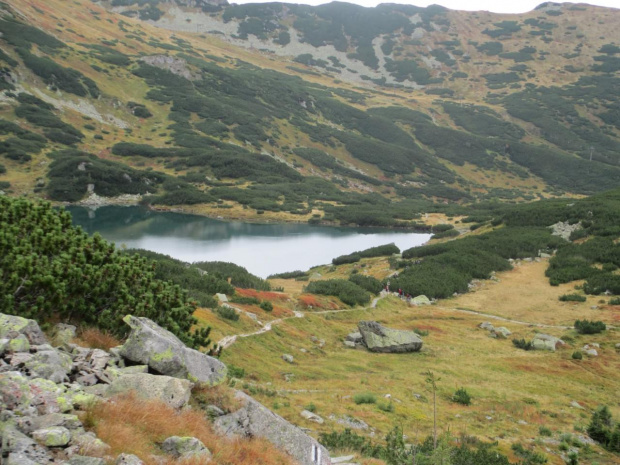 Tatry- GIEWONT ŚWINICA