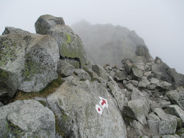 Tatry- GIEWONT ŚWINICA