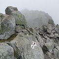 Tatry- GIEWONT ŚWINICA