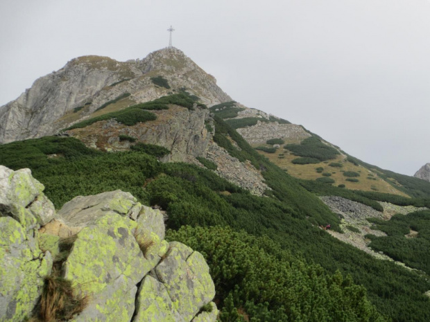 Tatry- GIEWONT ŚWINICA