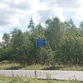 cd grzybków