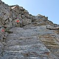 Silvretta sierpień 2011