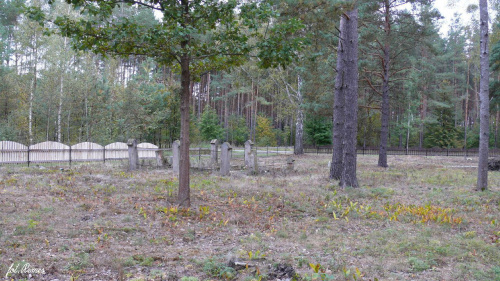 Cmentarz ewangelicko - augsburski w Farynach #Faryny #Friedhof #Rygielpisz