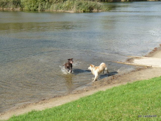 Park Szczęsliwicki