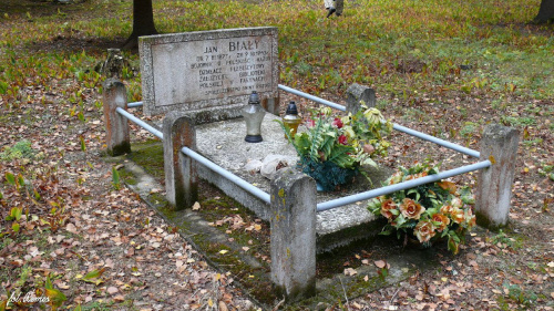 Cmentarz ewangelicko - augsburski w Farynach #Faryny #Friedhof #Rygielpisz