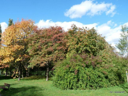 Park Szczęsliwicki