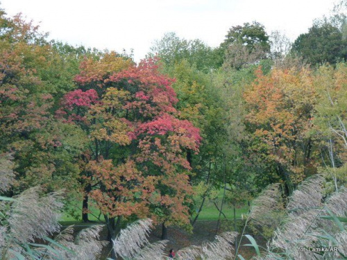 Park Szczęsliwicki