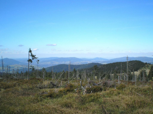 Beskid Wyspowy spod Turbacza #góry #beskidy #gorce #turbacz #HalaDługa #HalaTurbacz #CzołoTurbacza #turbaczyk