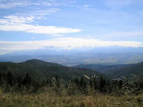 Tatry Wysokie z Hali Długiej #góry #beskidy #gorce #turbacz #HalaDługa #HalaTurbacz #CzołoTurbacza #turbaczyk