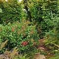 Ogród w Radkowie #byliny #grochowscy #ogród #radków