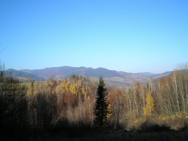Gorc z niebieskiego szlaku na Lubań z Ochotnicy #beskidy #gorce #góry #lubań