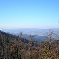 Turbacz, Kiczora i Jaworzyna Kamienicka spod Lubania #beskidy #gorce #góry #lubań