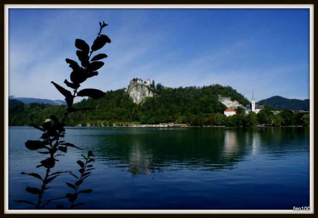 Słowenia Zamek Bled