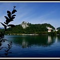 Słowenia Zamek Bled