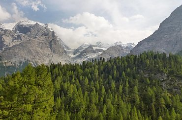 #Góry #Hotel #PołudniowyTyrol #schronisko #szarotka #Świstak #Trafoi #Włochy