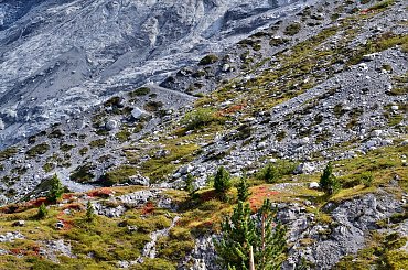 #Góry #Hotel #PołudniowyTyrol #schronisko #szarotka #Świstak #Trafoi #Włochy