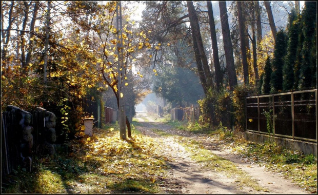 igraszki światła i cieni